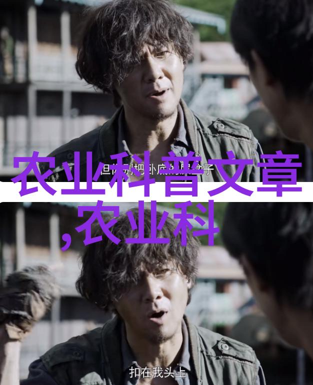 玉米追肥别入误区-