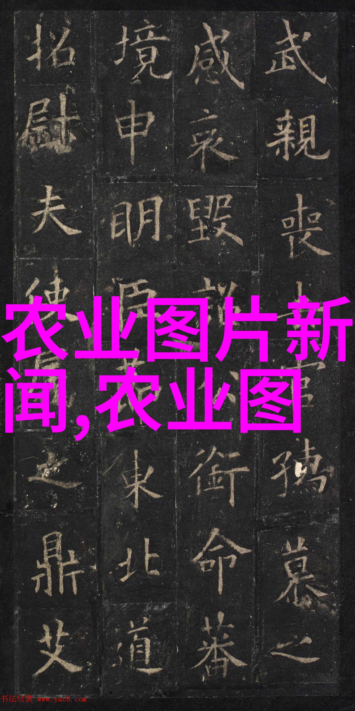饲料所传达学习党的二十届三中全会精神