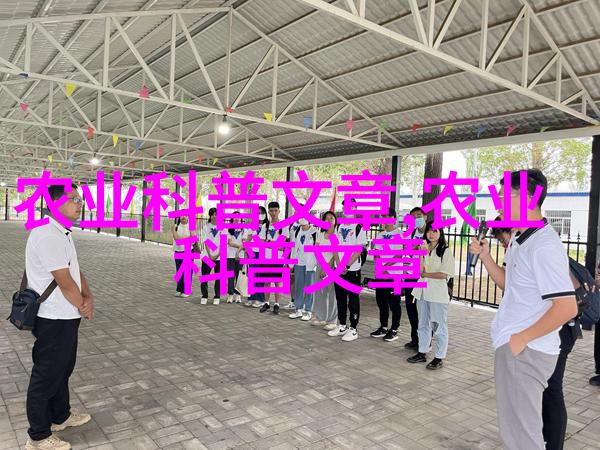 康乃馨