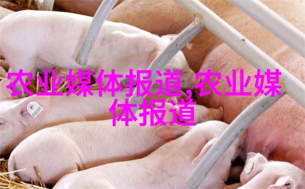 成熟期