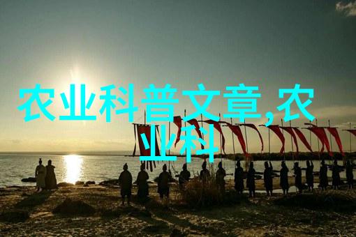 玉米育苗及管理-