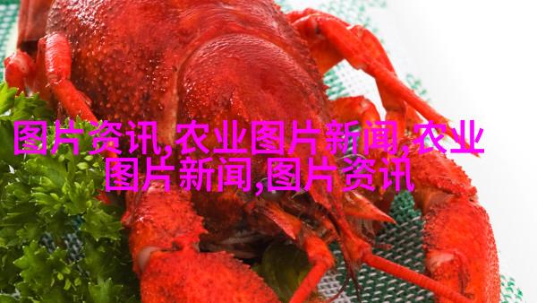 蜀葵