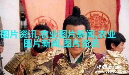 凤梨