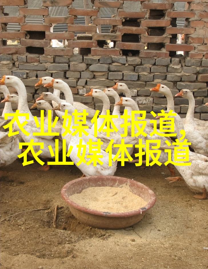 群体排列