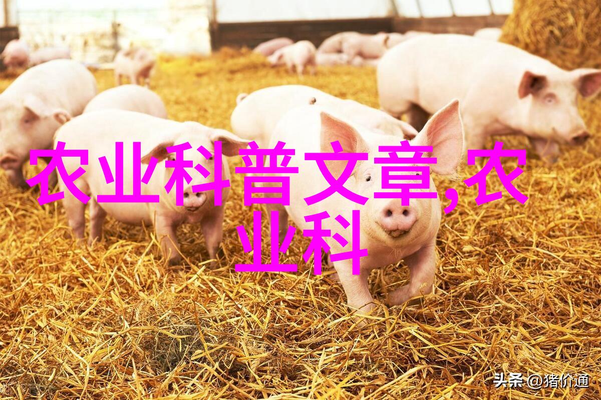 香蕉贮藏四要点-