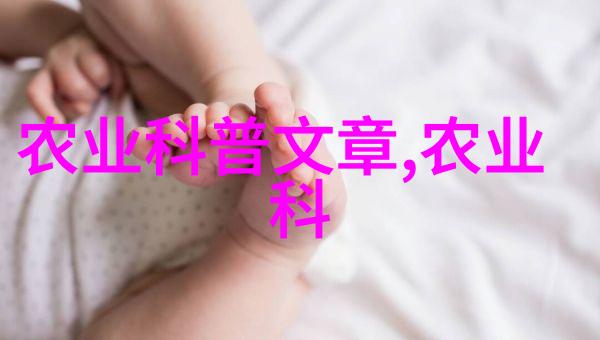 西红柿