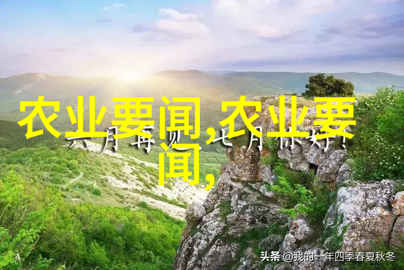 县域消费多点开花