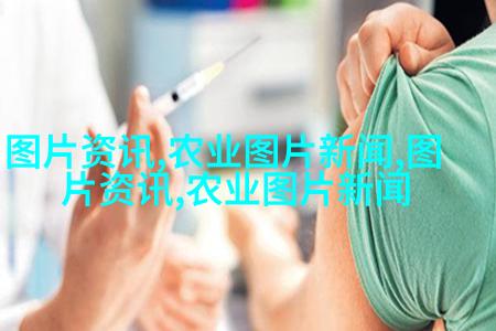 杨树