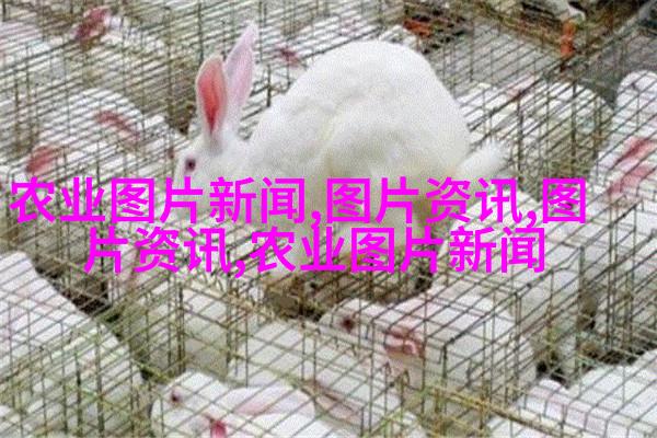 秋天暖阳