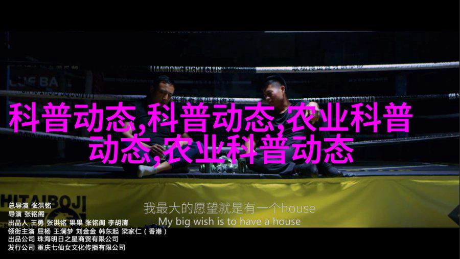 杂交菊