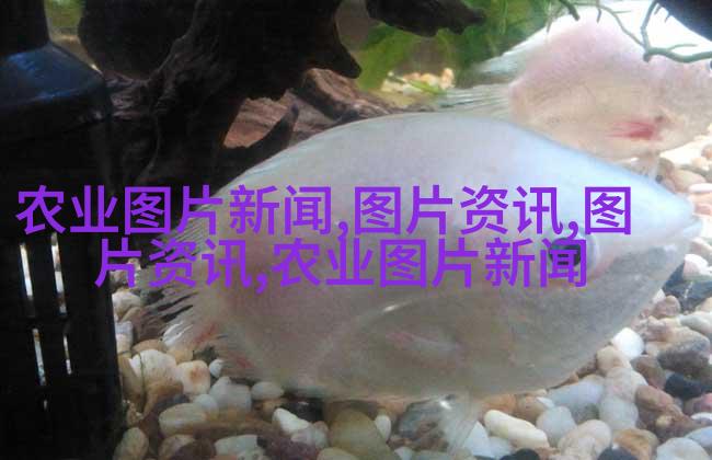 夏日蔚蓝