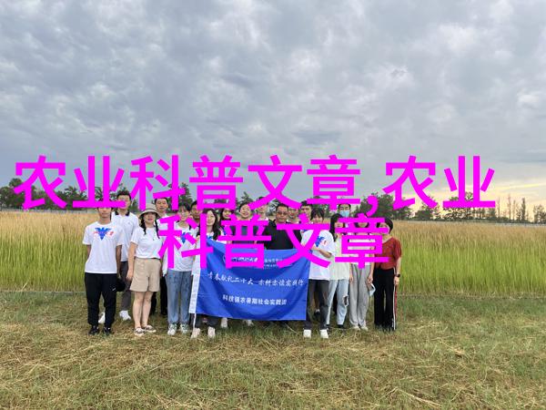 玫瑰