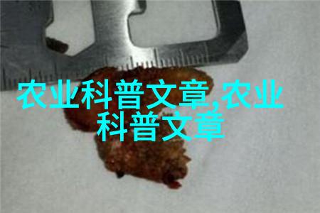 西瓜