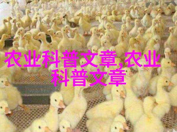 双层翠绿