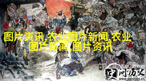 图2: 一台自动收割高产玉米田
