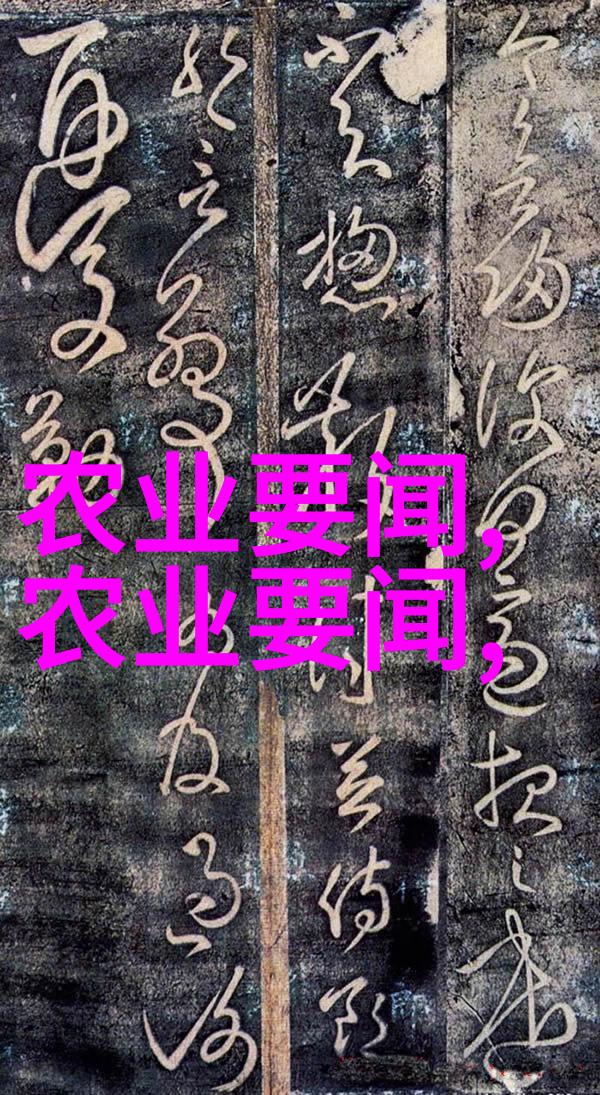 赴俄罗斯出席第十六次会晤