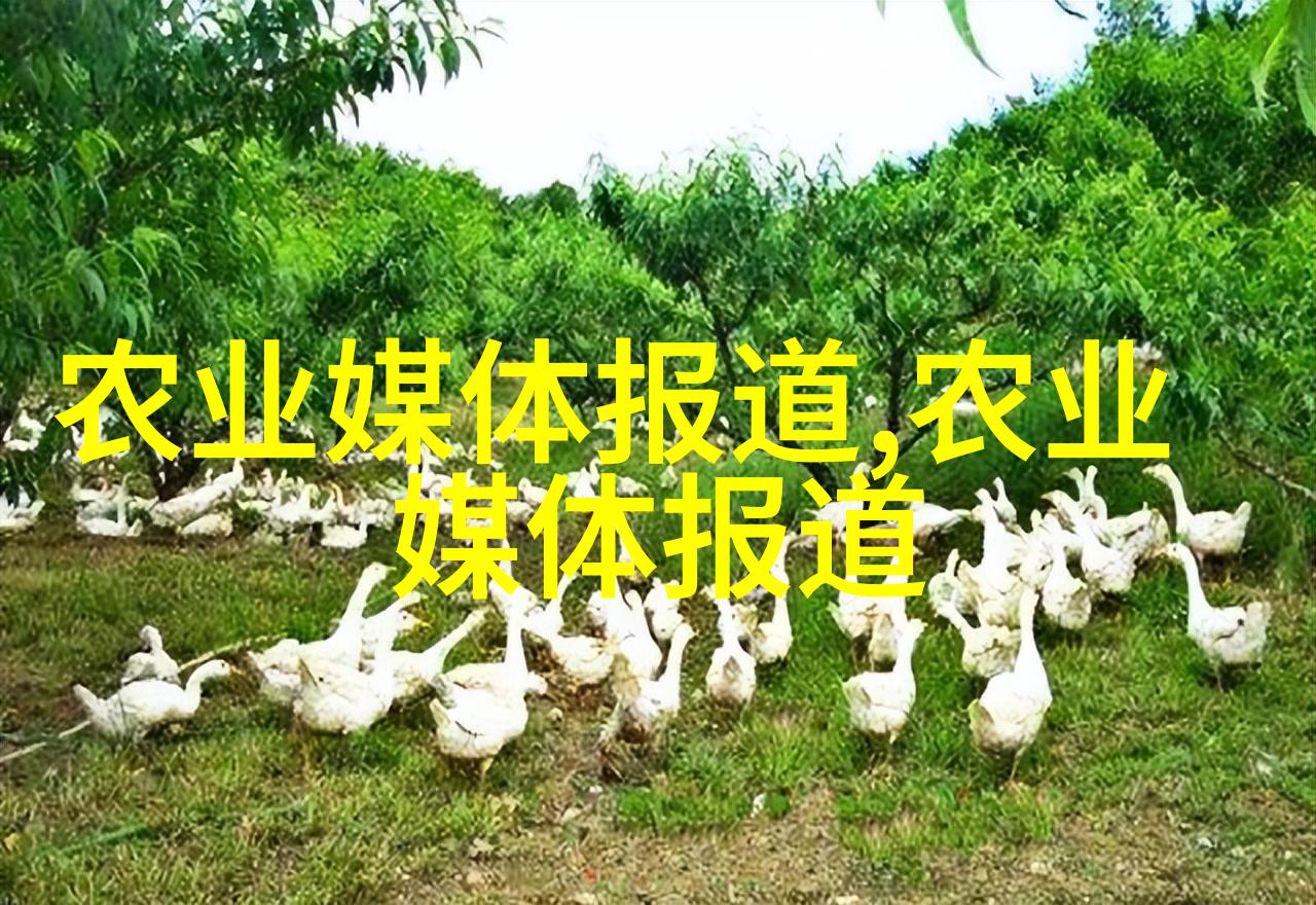 层次构建