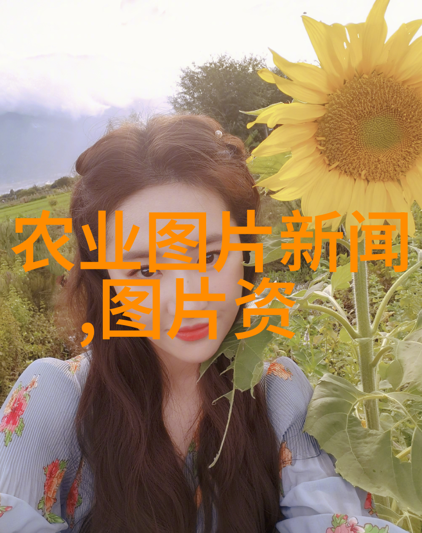 现代简约风格
