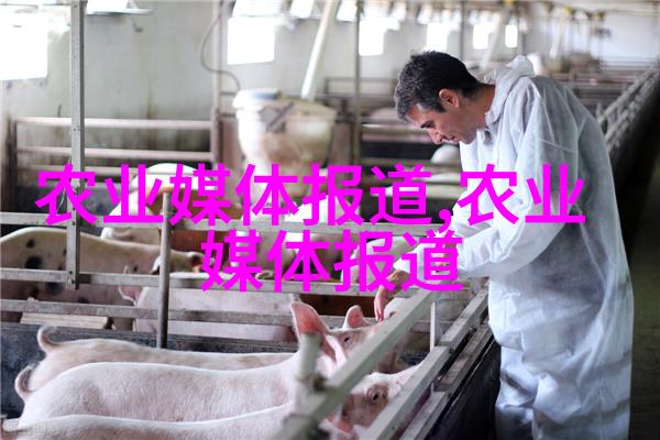 手绘版画中的寓意