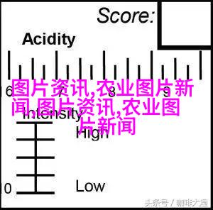 香蕉