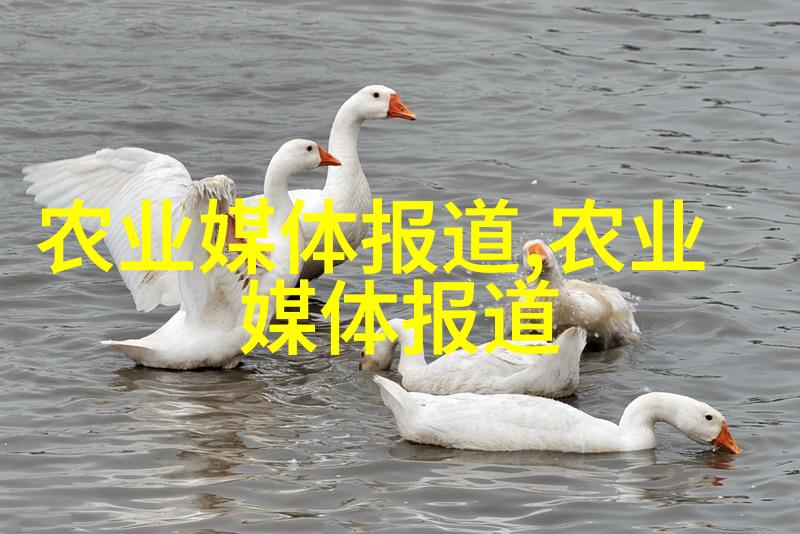 特殊底座