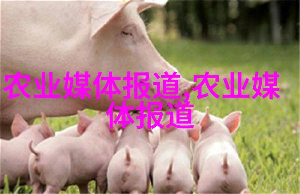 生长阶段