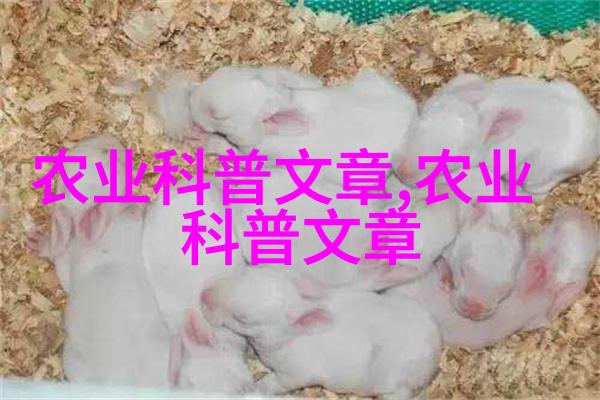 温室秘密花园