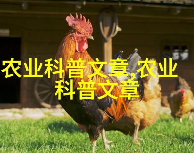 室内园林