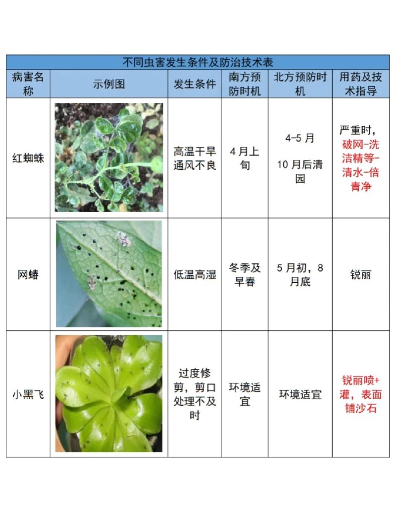 病虫害防治方法